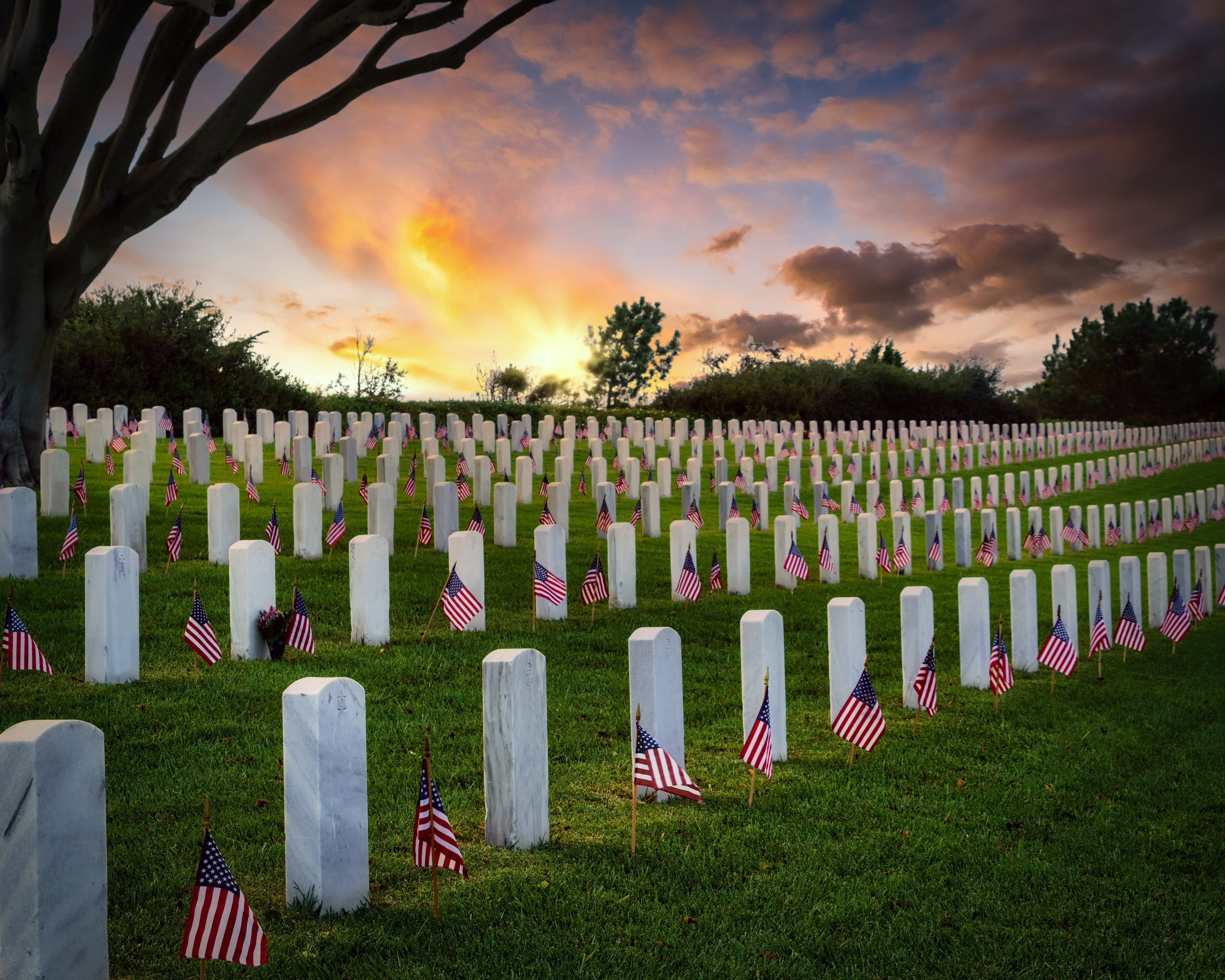 Veterans Cemetery with flags