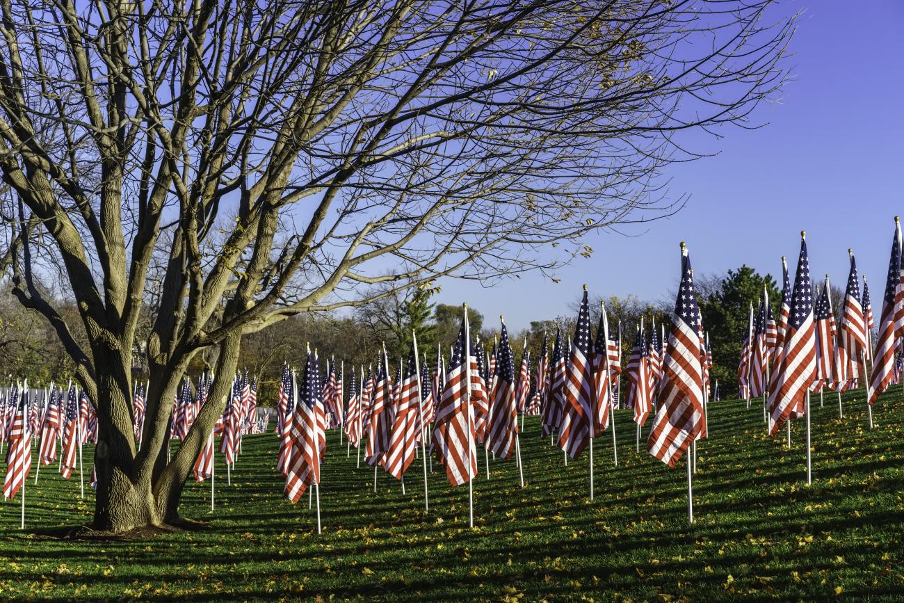 USA flag