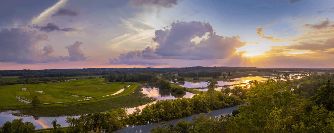 Panorama of floodplain conservation area