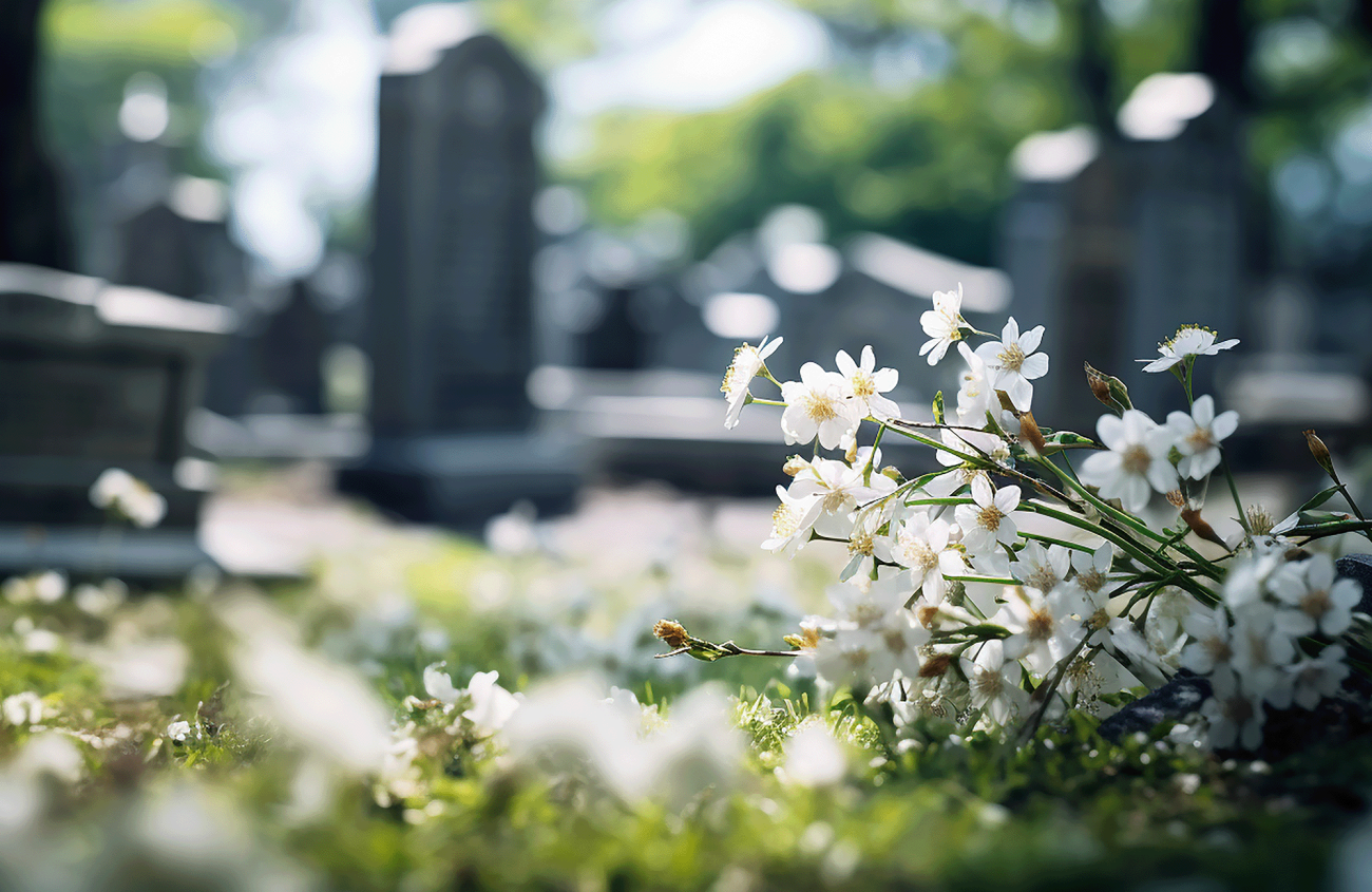 Photo of cemetary