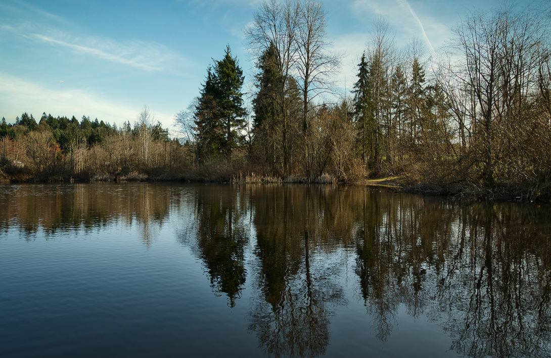 Lake Boren in Newcastle, Washington