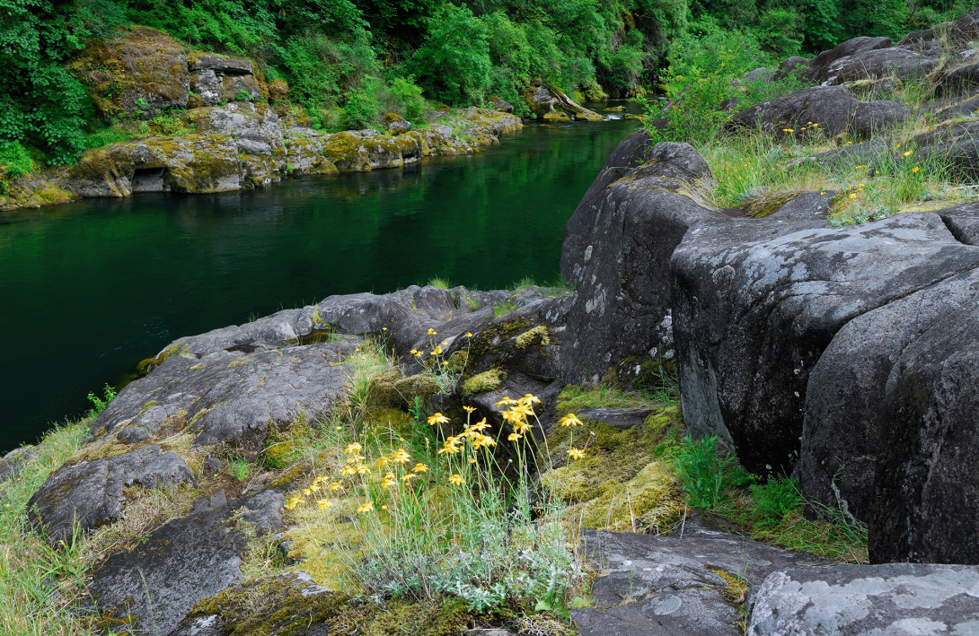 Photo of a river