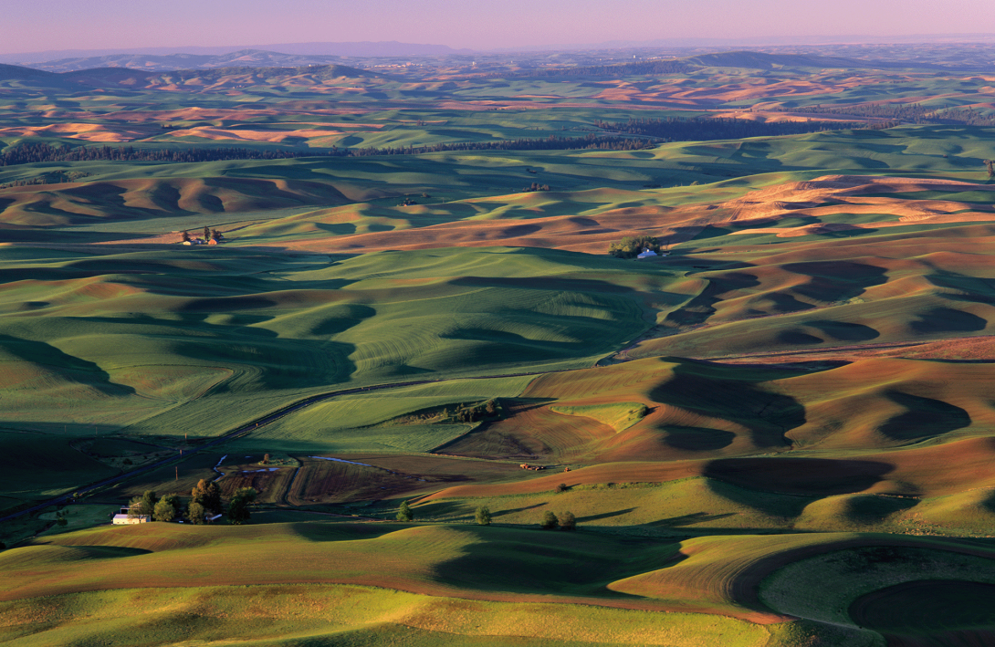 Photo of farmland